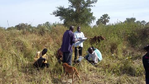 community filling questionnaires in Gulu rural area, copyright by Katharina Kopp 2018